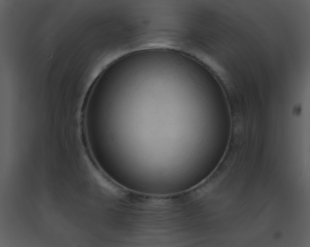 X0000093561423200710221413