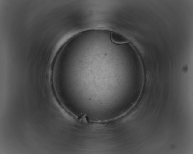 X0000093561424200710221413