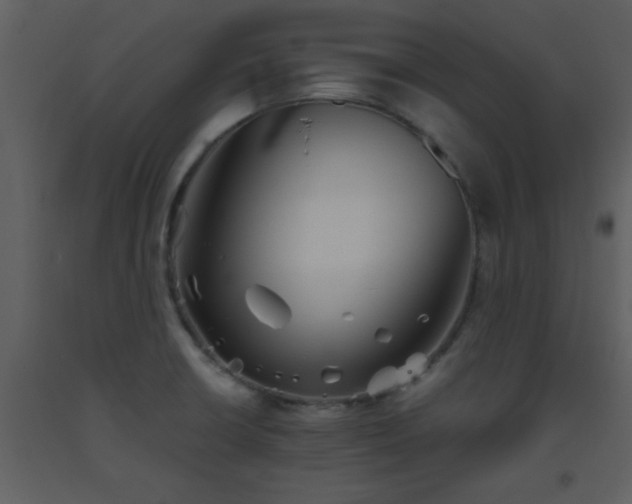 X0000093561426200710221413