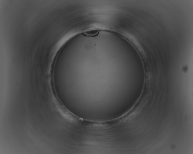 X0000093561427200710221413