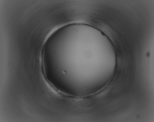 X0000093561428200710221413