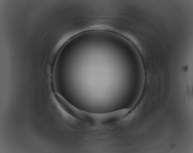 X0000093561430200710221413