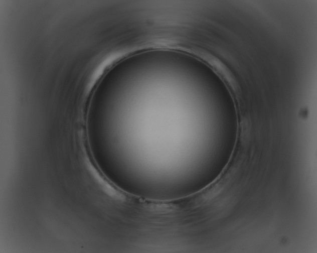 X0000093561432200710221413