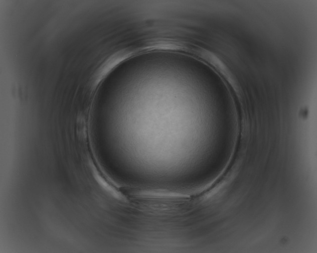 X0000093561433200710221413