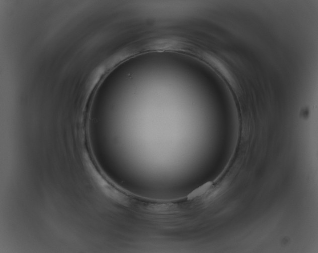 X0000093561434200710221413