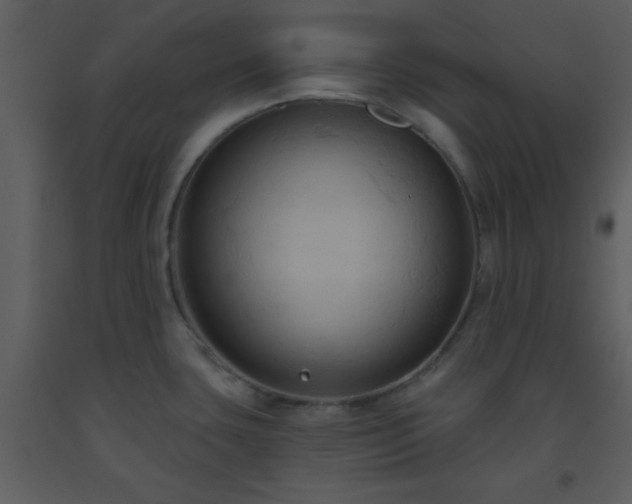 X0000093561435200710221413