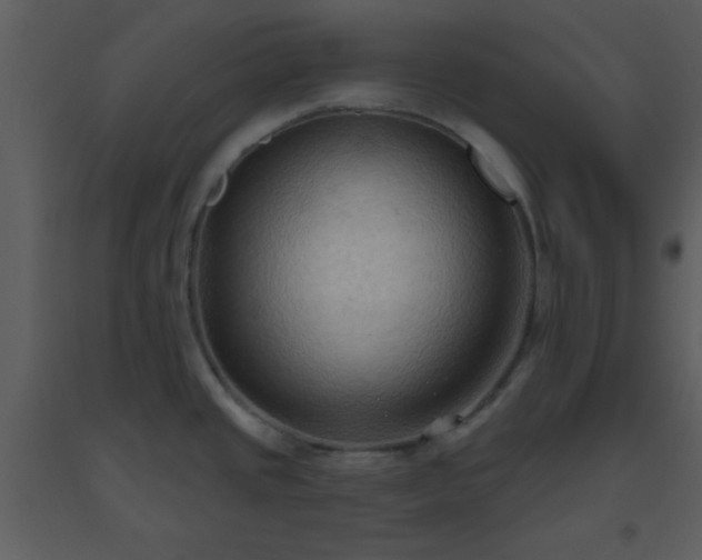 X0000093561437200710221414