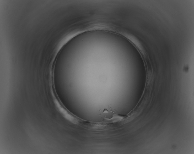 X0000093561439200710221414
