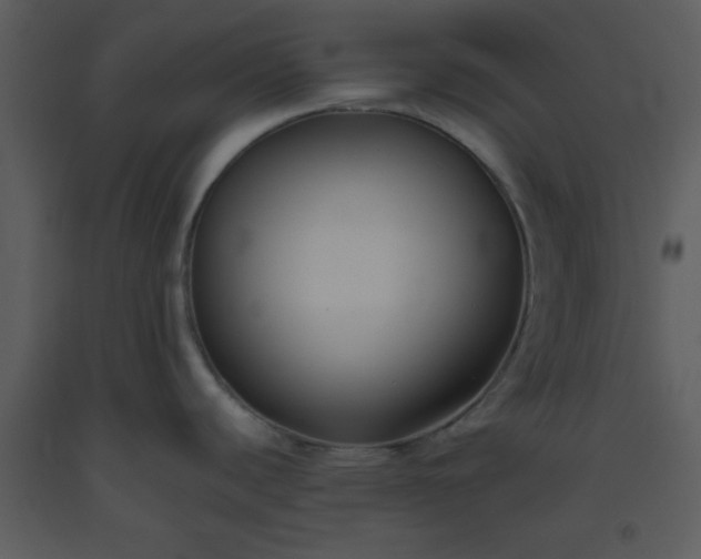 X0000093561440200710221414