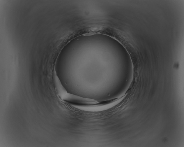 X0000093561441200710221413