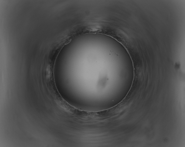 X0000093561442200710221413
