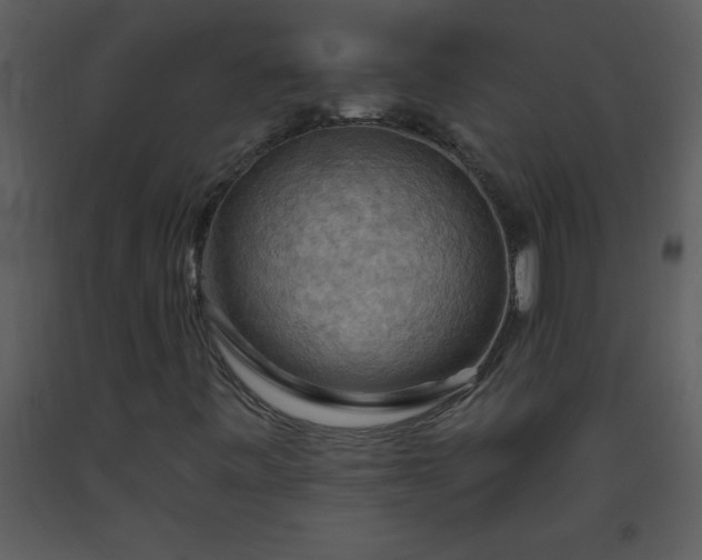 X0000093561443200710221413