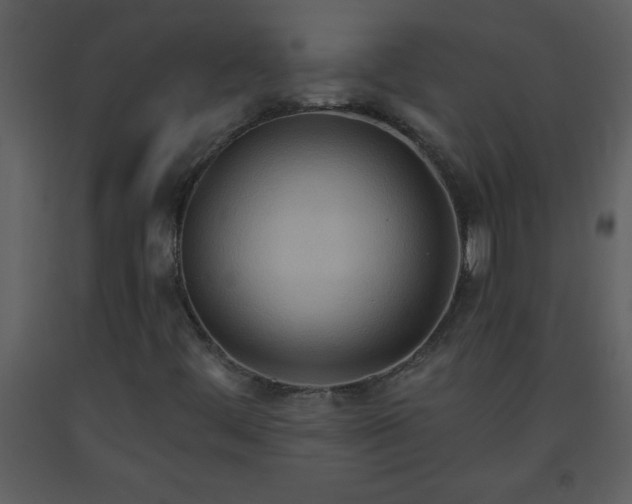 X0000093561444200710221413