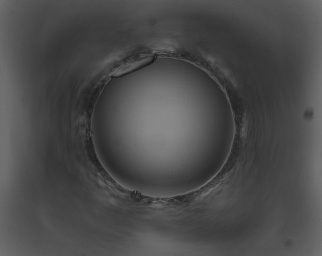 X0000093561445200710221413