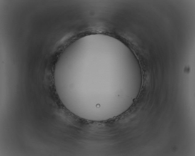 X0000093561446200710221413