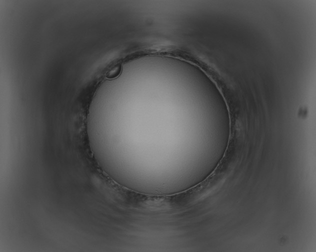X0000093561447200710221413