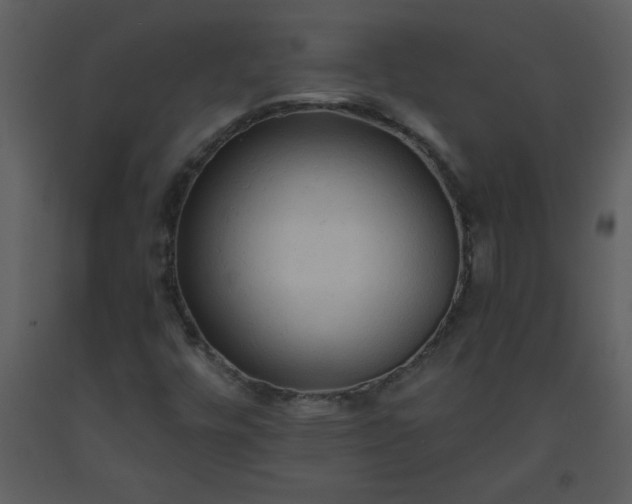 X0000093561448200710221413