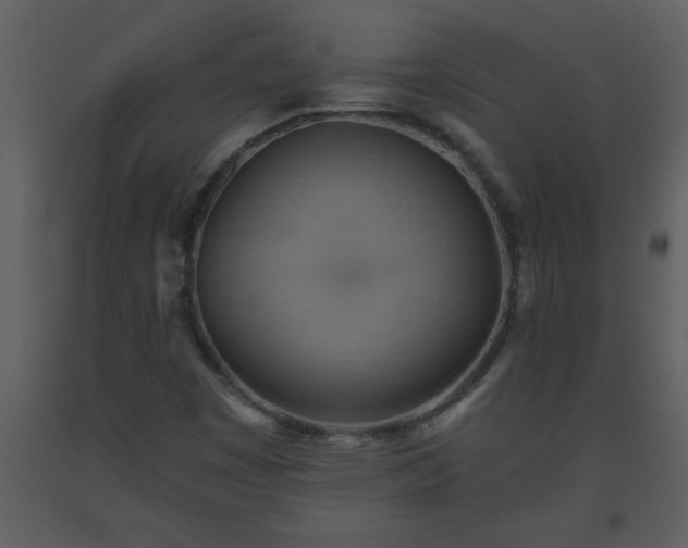X0000093561449200710221413