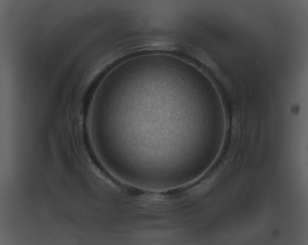 X0000093561450200710221413
