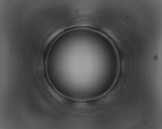 X0000093561452200710221413