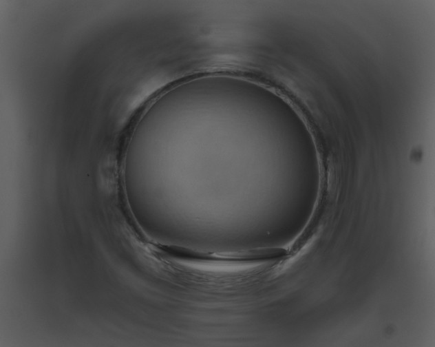 X0000093561453200710221413
