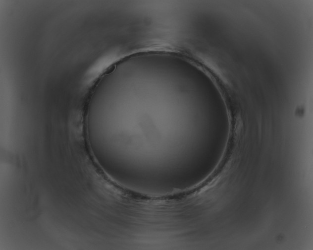 X0000093561455200710221413