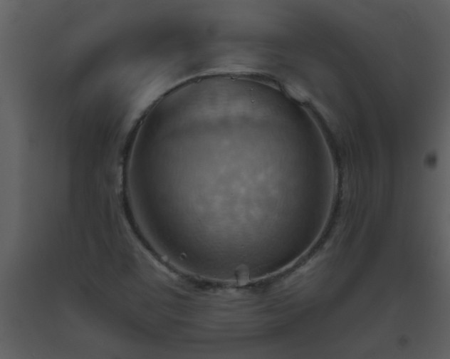 X0000093561459200710221413