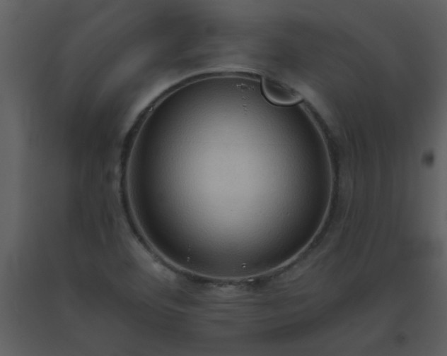 X0000093561460200710221413