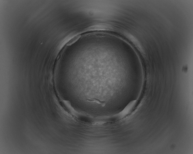 X0000093561465200710221413
