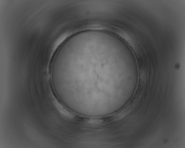 X0000093561466200710221413