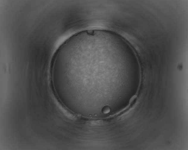 X0000093561469200710221413