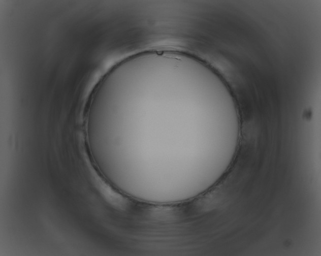 X0000093561470200710221413