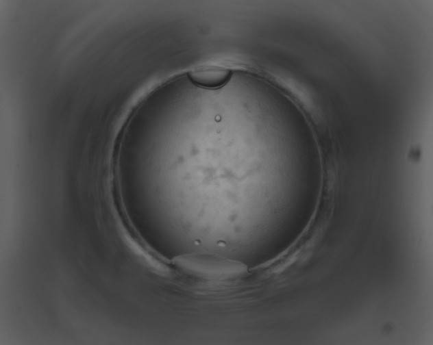 X0000093561471200710221413