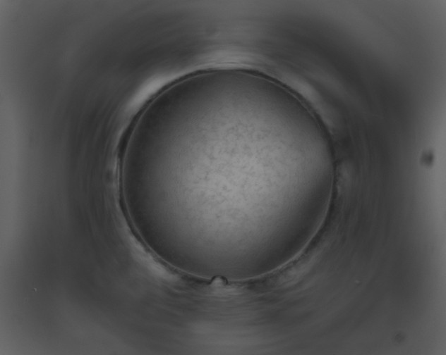 X0000093561472200710221413