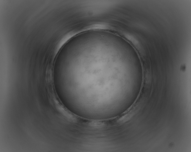 X0000093561473200710221413