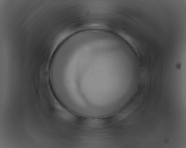 X0000093561474200710221413