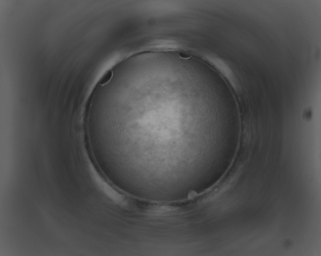 X0000093561475200710221413