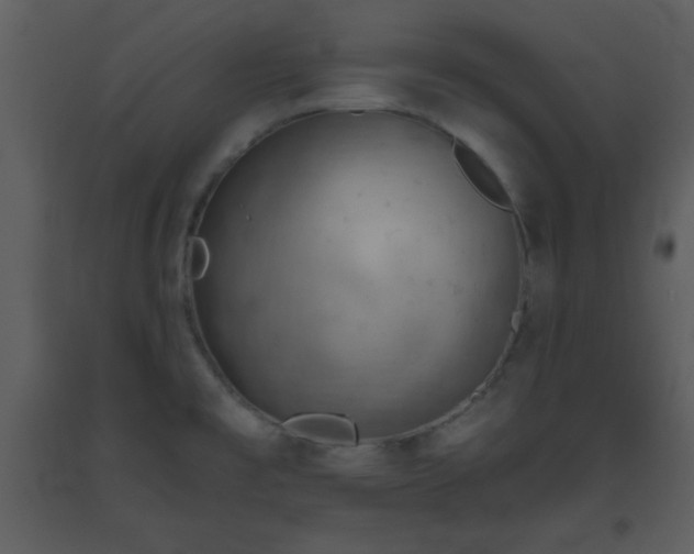 X0000093561477200710221413