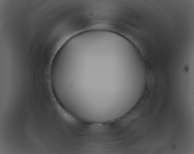 X0000093561478200710221413