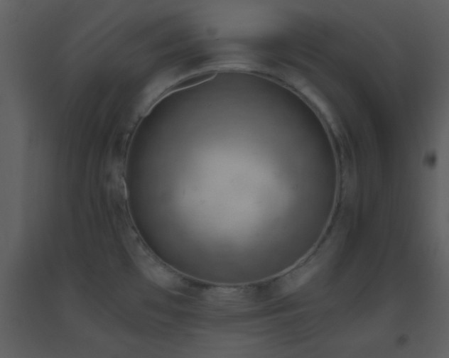 X0000093561481200710221412