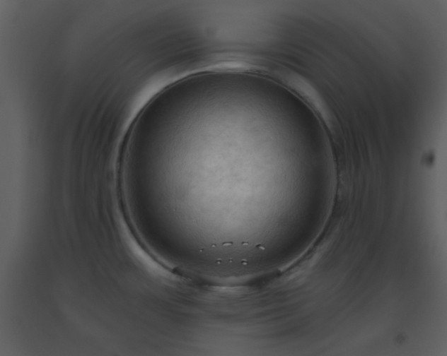 X0000093561483200710221412