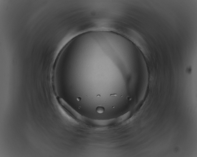 X0000093561484200710221412