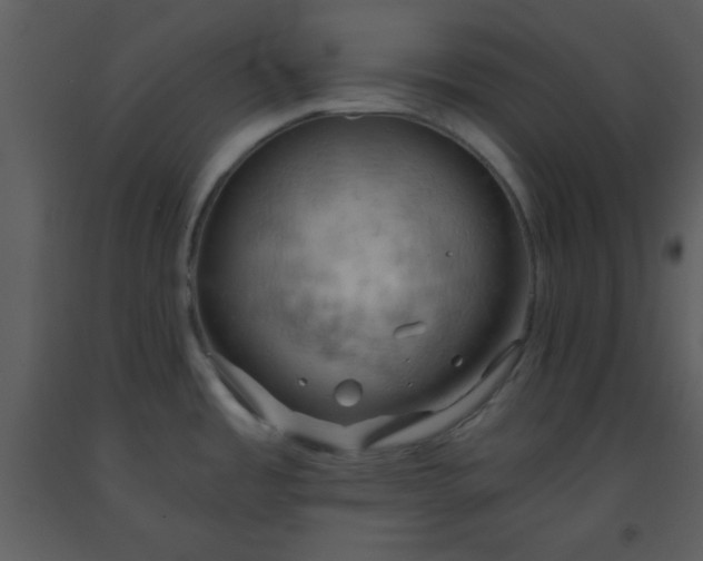 X0000093561485200710221412