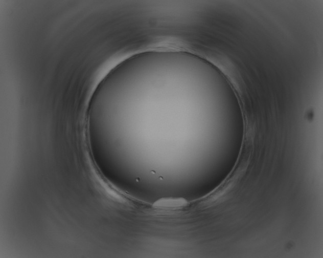 X0000093561486200710221412