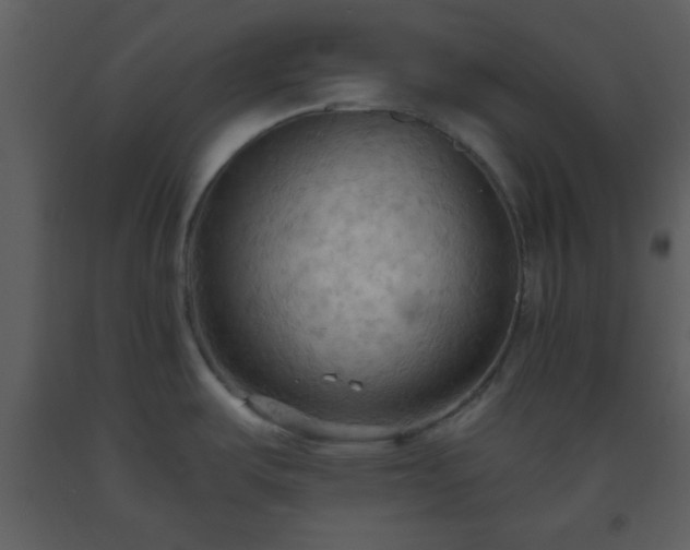 X0000093561487200710221412