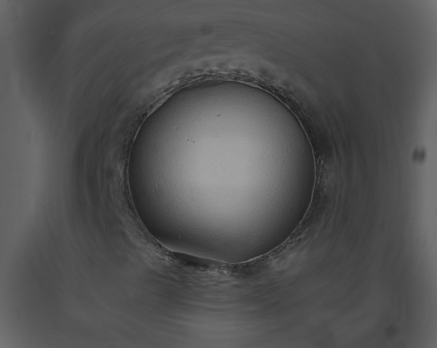 X0000093561489200710221412