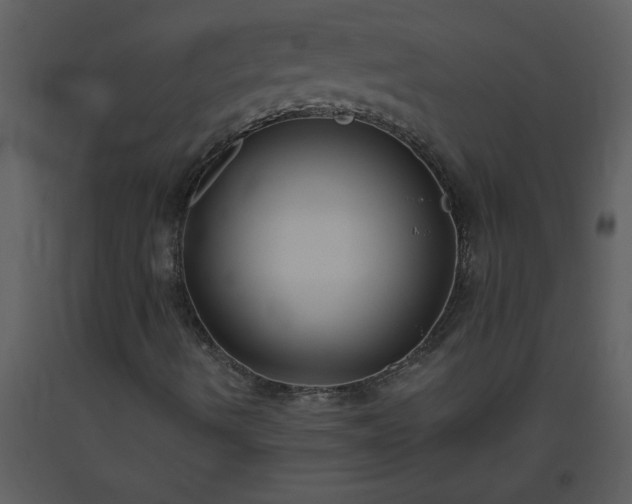 X0000093561490200710221412