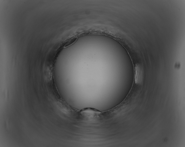 X0000093561491200710221412