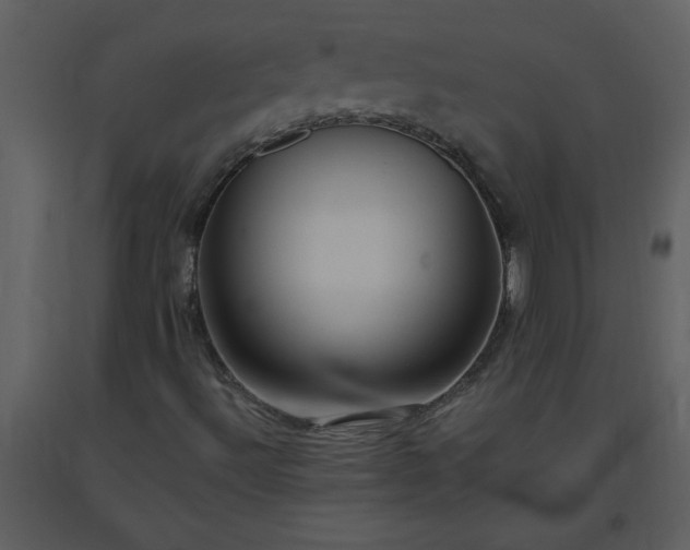 X0000093561492200710221412