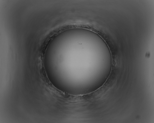 X0000093561493200710221412